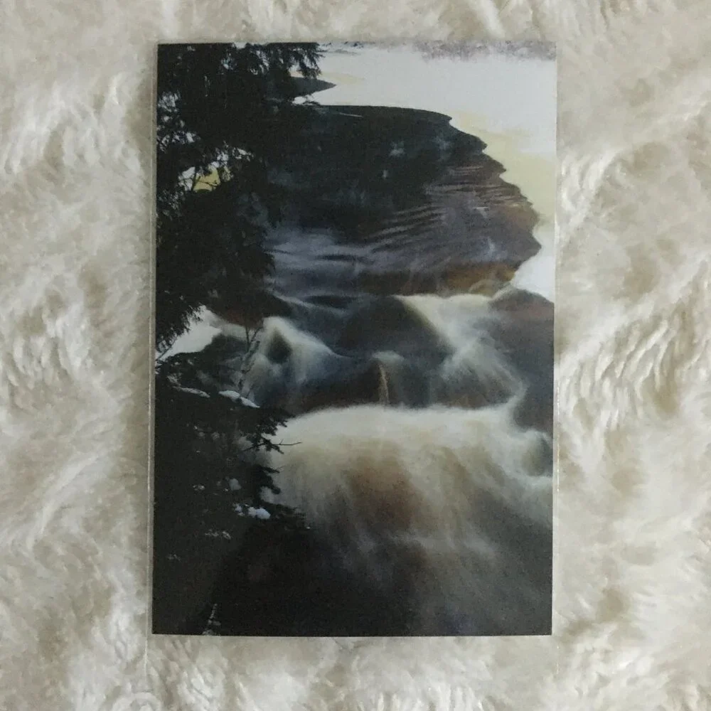 Set of 4 Original Canadian Winter Photographs Nature Bark Twigs River Macro Art - Picture 3 of 7